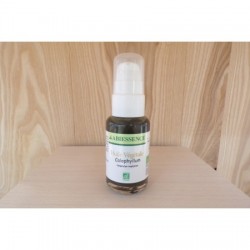 HV calophyllum 50ml huile...