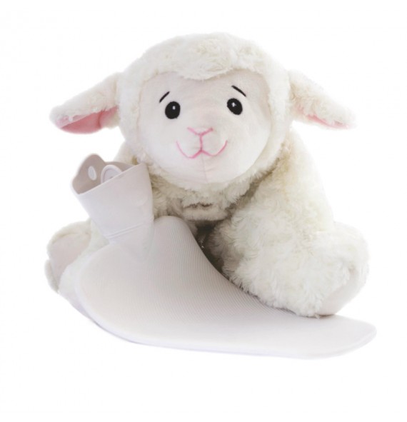 Bouillotte peluche...