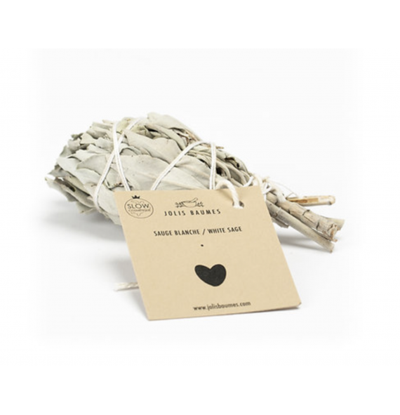 Sauge Blanche de Californie...